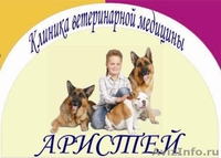 АРИСТЕЙ клиника ветеринарной медицины. - Изображение #1, Объявление #311111