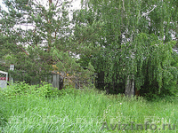 Участок, продам  - Изображение #6, Объявление #391396