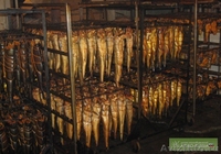 от производителя морепродукты,икра и рыбные отходы оптом - Изображение #1, Объявление #836795