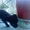 карликовый пинчер щенок черный окрас девочка                                     #113058