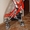 Детская коляска-трость Brevi B Sweet (Бреви Би Свит, Италия) - Изображение #4, Объявление #155032