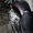 Moto Guzzi California EV Touring 2004 - Изображение #2, Объявление #304321