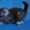 Шотландские вислоухие котята  из питомника - Изображение #3, Объявление #308598