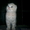 Шотландские котята -вислоухое чудо - Изображение #2, Объявление #314087
