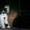 Шотландские котята -вислоухое чудо - Изображение #3, Объявление #314087