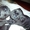 Щенки Черного мопса с родословной РКФ - Изображение #1, Объявление #482726