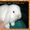 Породные вислоухие карликовые кролики бараны из питомника Urals joy редкий окрас - Изображение #5, Объявление #481995