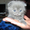 Котята Скоттиши! - Изображение #2, Объявление #487444