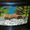 АКВАРИУМ с тритоном и рыбками - Изображение #1, Объявление #530122