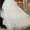  свадебное платье c небольшим шлейфом #618522