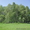 Продается участок у леса 22 сотки (п.Курганово) - Изображение #2, Объявление #656546