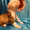 Американский бульдог- щенки - Изображение #2, Объявление #733420