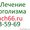 лечение алкоголизма в Екатеринбурге,  снижение лишнего веса,  кодирование #917652