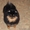 Щенки померанского шпица редких окрасов  - Изображение #3, Объявление #1032749