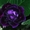 Комнатные цветы: фиалки, глоксинии, пеларгонии - Изображение #2, Объявление #945201