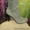  женс сапоги из натур кожи за 1500 руб  - Изображение #2, Объявление #1077618