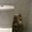 Слесарь сантехник на дом Екатеринбург, Березовский, Верхняя Пышма, Арамиль. - Изображение #6, Объявление #1099659