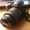 Продам зеркальную фотокамеру Nikon D3100 #1304417