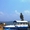 Катамаран моторный прогулочный «Центаурус» - Изображение #5, Объявление #1262352