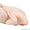 Говядина,  мясо цыплят бройлера в ассортименте. #1631285