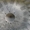Сектора решеток шаровых мельниц. Сталь 110Г13Л - Изображение #4, Объявление #1675917