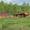 Продается агротуристическая ферма в Медыни - Изображение #1, Объявление #1691297