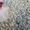 Микрокальцит, мраморный щебень, мраморная крошка - Изображение #1, Объявление #1695770