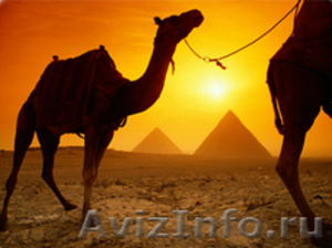 Экскурсии по Египту из Шарм-эль-Шейха - Изображение #1, Объявление #116947