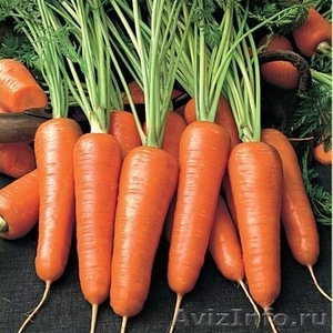 Картофель, морковь, капуста, свекла, лук  - Изображение #3, Объявление #214065