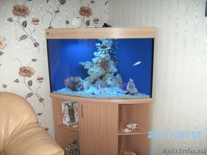 продам аквариум - Изображение #1, Объявление #372699