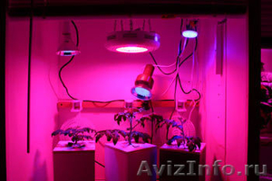 Led grow light Светодиодные светильники для растений - Изображение #1, Объявление #461146