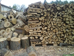 Продам дрова.,  - Изображение #1, Объявление #523043