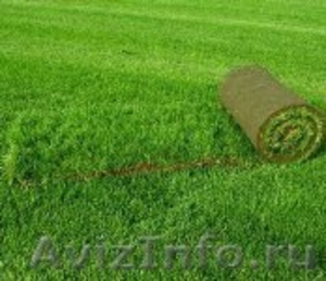 предлагаем рулонный газон - Изображение #1, Объявление #695620