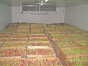 Холодильное оборудование для фрукто- и овощехранилищ - Изображение #6, Объявление #1207553
