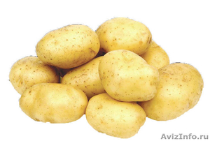 Семенной картофель в Екатеринбурге 1-ой репродукции высокого качества! - Изображение #1, Объявление #1234210
