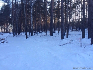 Участок с лесом в Екатеринбурге - Изображение #2, Объявление #1356041