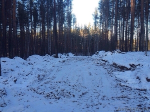 Участок с лесом в Екатеринбурге - Изображение #1, Объявление #1356041