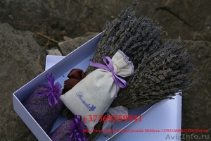 ЛАВАНДА цветы и саше в подарочной коробочке (2 букета и 4 мешочка с цветами) - Изображение #3, Объявление #1451587