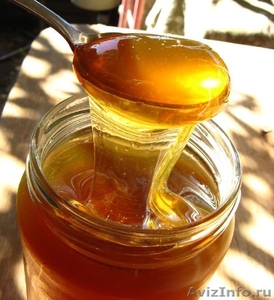 продам мёд деревенский - Изображение #1, Объявление #1495945