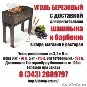 ﻿Купите уголь древесный березовый с доставкой - Изображение #1, Объявление #1510944
