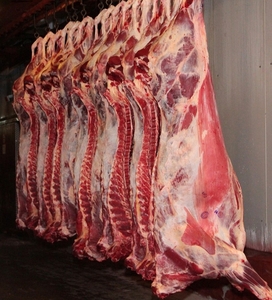 мясо говядины - Изображение #2, Объявление #1689593