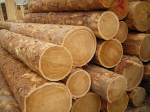 Деловая древесина и пиломатериалы - Изображение #1, Объявление #1697387
