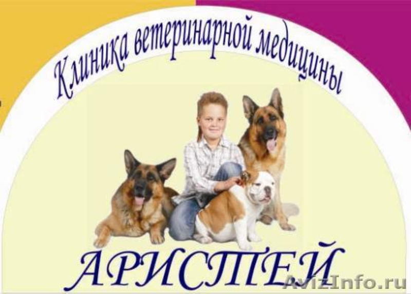 АРИСТЕЙ клиника ветеринарной медицины. - Изображение #2, Объявление #311111