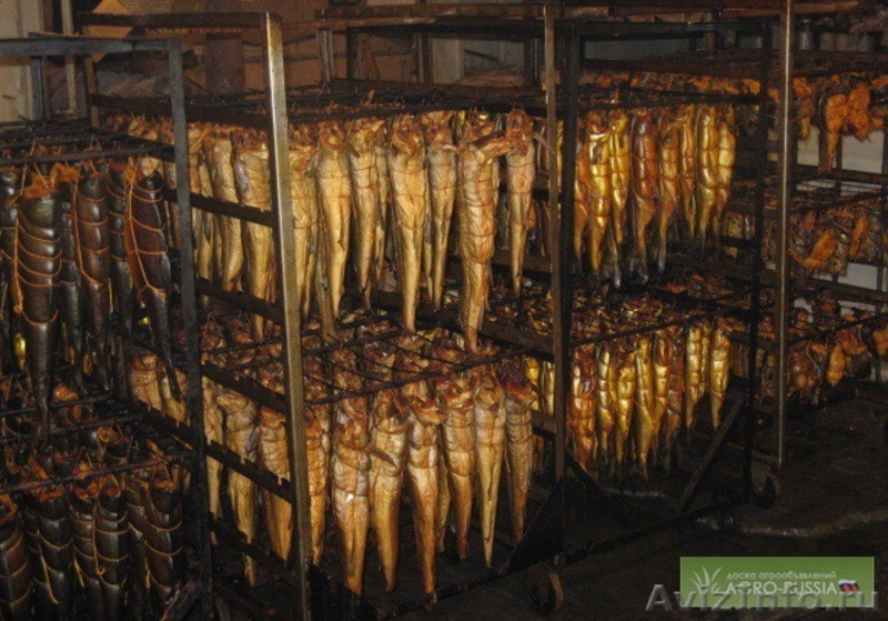 от производителя морепродукты,икра и рыбные отходы оптом - Изображение #1, Объявление #836795