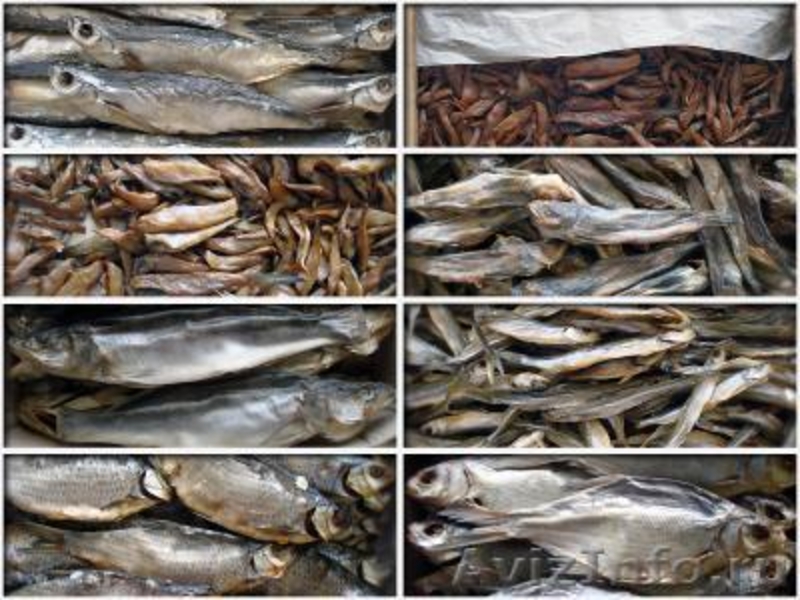от производителя морепродукты,икра и рыбные отходы оптом - Изображение #2, Объявление #836795